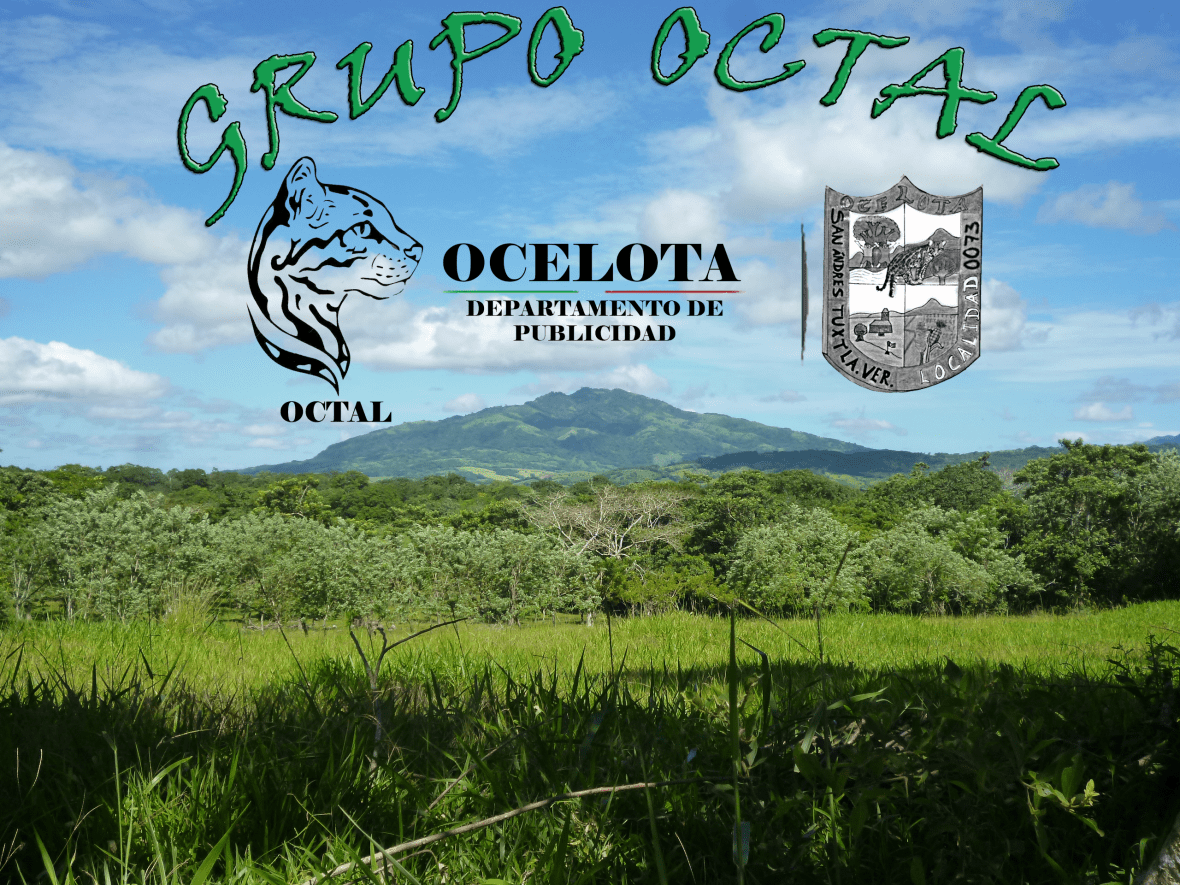 img portada ocelota inedito