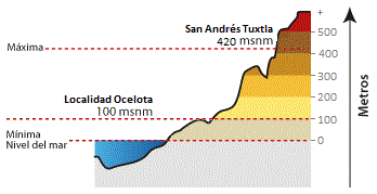 Altitud De Ocelota